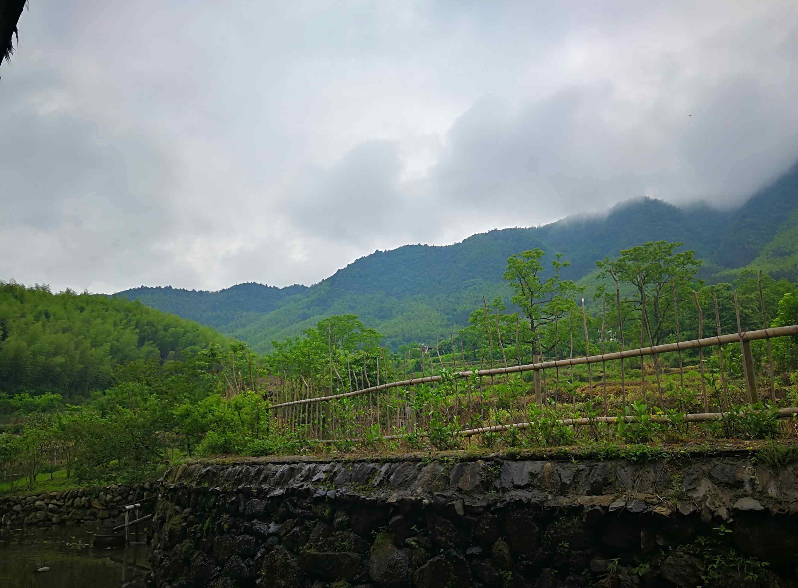 黟县住宿 黟县民宿