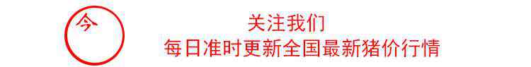 仔猪今日价格 今日全国仔猪价格！10公斤仔猪价格一览表