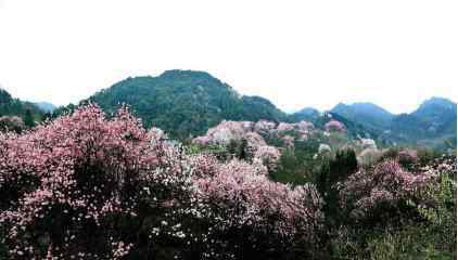 李子柒住在哪里 山间活出自在，绵阳人发现李子柒住在平武，雪景也是证明