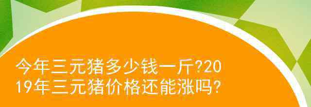 三元猪报价 今年三元猪多少钱一斤?2019年三元猪价格还能涨吗?