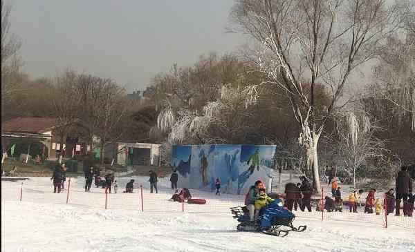 玉渊潭冰雪节 2020年北京玉渊潭公园冰雪节攻略