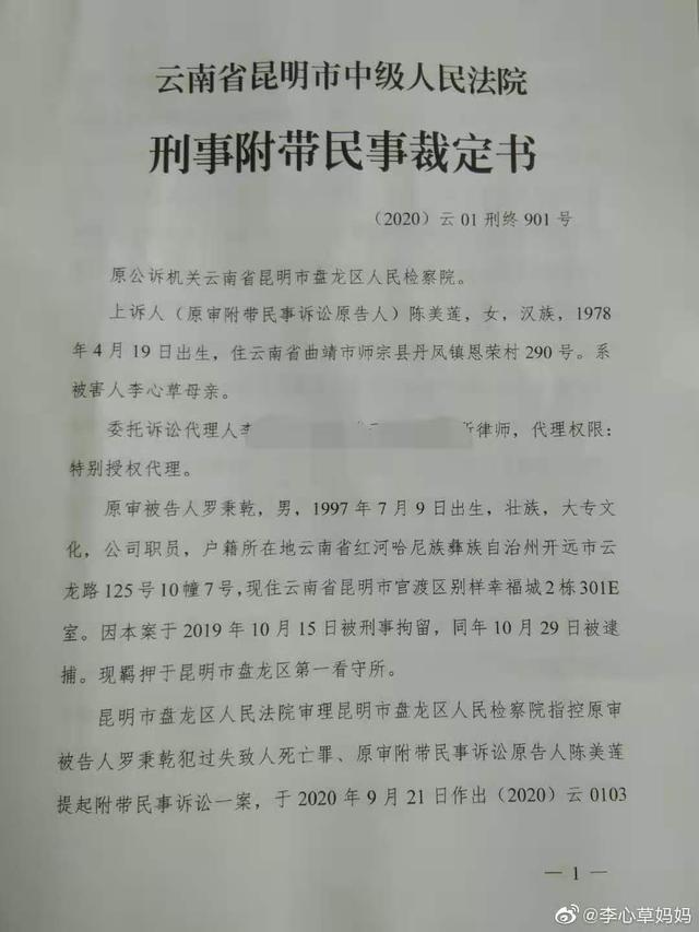 李心草溺亡案维持原判：被告人因过失致人死亡罪获刑1年6个月