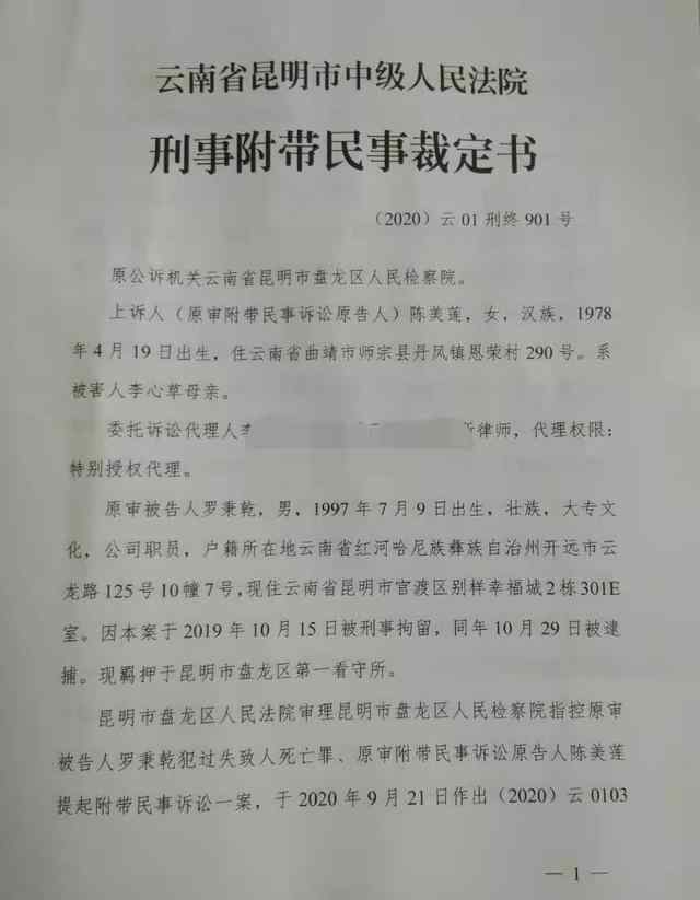 李心草溺亡案维持原判：被告人因过失致人死亡罪获刑1年6个月