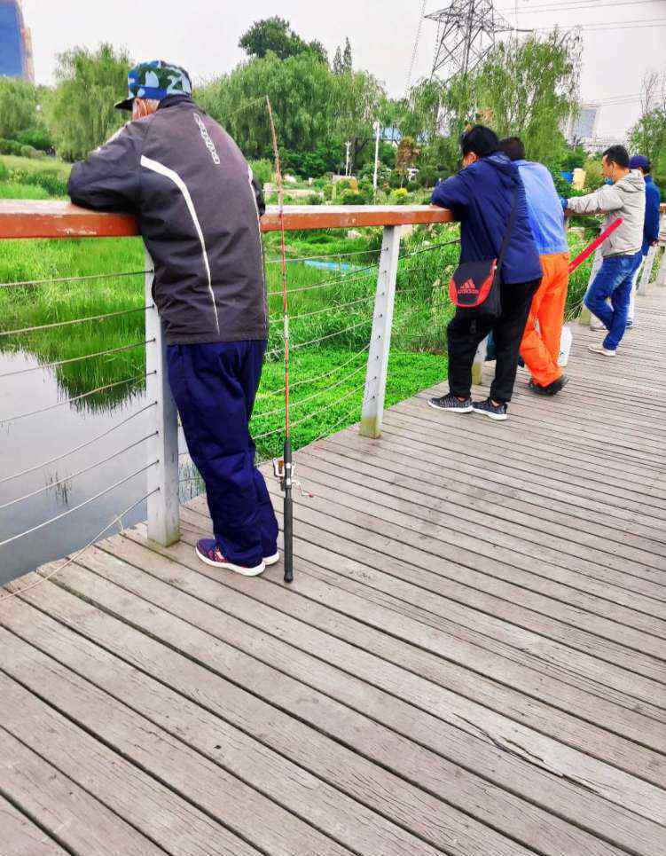 李村 看到青岛李村河这一场景，说明环境真的改善了