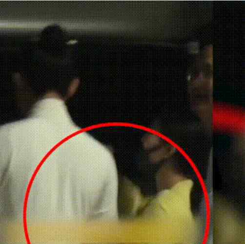 李佳琦和小助理 罗晋否认出轨女助理，网友支招：跟易烊千玺李佳琦学习，找男助理