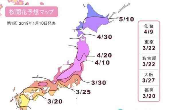 九州樱花 2019九州樱花什么时候开 九州赏樱地推荐