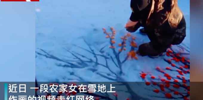 长春女子把雪地当宣纸作画 “红梅傲雪、猛虎下山” 网友：高手在民间