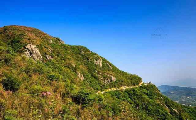 驿站的风景画 惊艳朋友圈！这座山上竟藏了漫山遍野的杜鹃花，美爆了