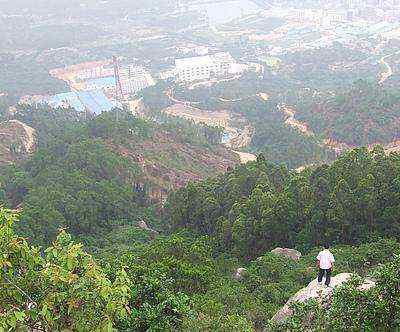 凤凰山在哪 凤凰山在哪，位于深圳市宝安区福永镇凤凰村！