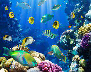 南京海底世界地址 南京海底世界好玩吗？南京海底世界地址在哪？