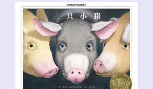 《三只小猪》 精彩搞笑的改编经典绘本——N个版本的《三只小猪》