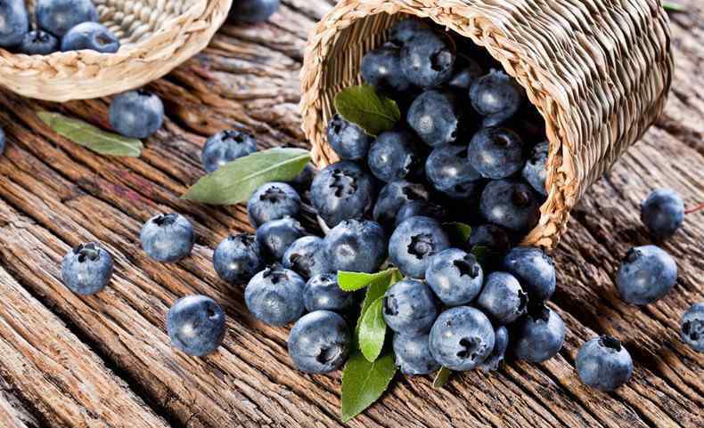 蓝莓多少钱一斤 新鲜蓝莓多少钱一斤 蓝莓一般什么时候上市