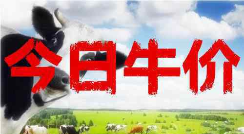 2013最新肉牛价格 今日最新牛价：12.25今日全国最新肉牛、育肥牛价格行情一览表