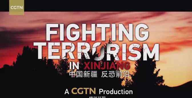 纪录片中国警察 总台一部纪录片刷屏：上百名警察殉职背后，是新疆反恐的真相！