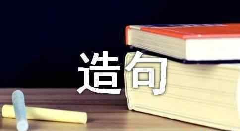 用惊奇造句 小学一年级用惊奇造句