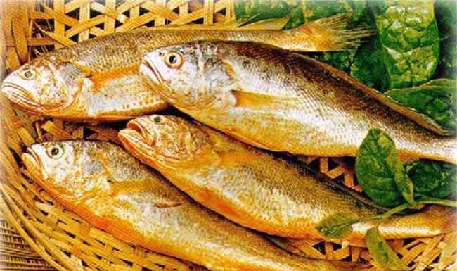 黄瓜鱼多少钱一斤 黄花鱼多少钱一斤