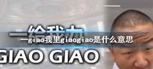 一giao 一giao我里giaogiao是什么意思 一giao我里giaogiao梗介绍