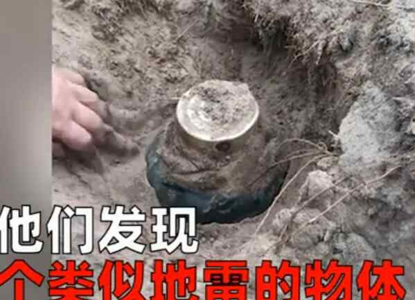 一家人种树没想到挖出大地雷 继续深挖惊喜不已