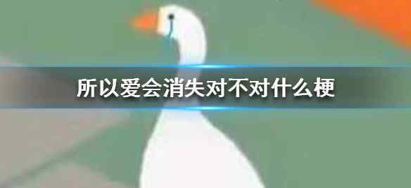 对不对 所以爱会消失对不对什么意思什么梗？ 一头雾水的你进来涨涨涨姿势