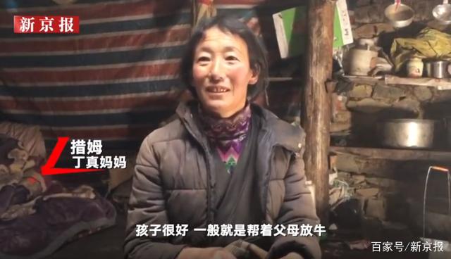丁真妈妈回应儿子入职国企 说了什么？真相是什么？