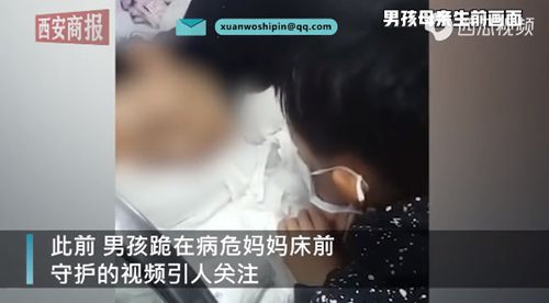 跪守病母男孩的舅舅发声：别提他爸了真相是什么？
