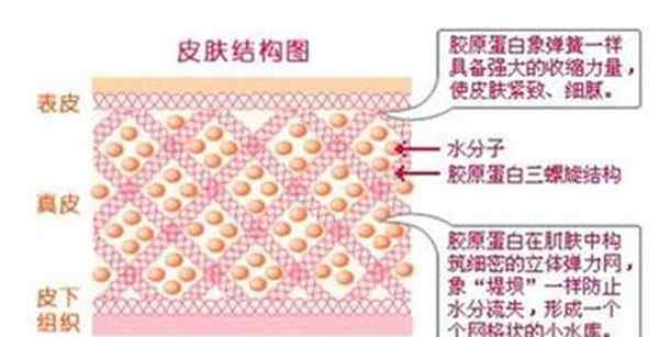 疤痕知识 为什么受伤会在我们皮肤上留疤？ 疤痕底是怎么形成的？