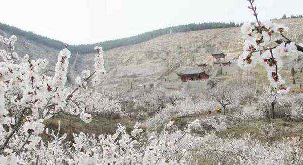 水泊梁山在哪 水泊梁山在哪，山东省梁山县！