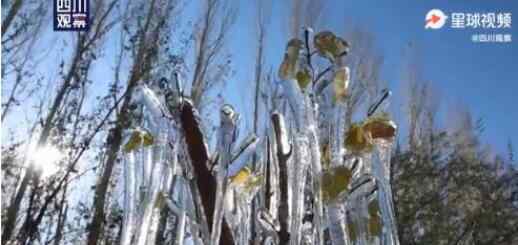 冰凌 超震撼!新疆出现罕见冰凌奇观 罕见"冰林"到底是怎么形成的?