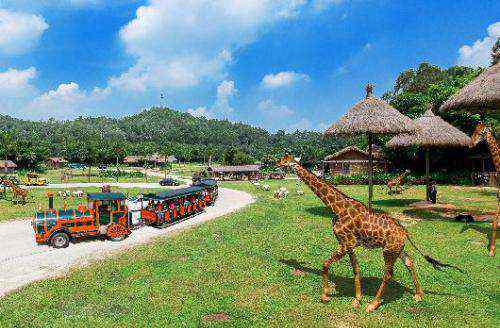 长隆野生动物园旅游攻略 长隆野生动物园攻略，路线及旅游景点!