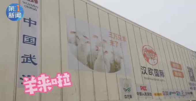 蒙古国捐赠羊肉到陕西 分配给援鄂医疗队员 网友：仿佛已闻到羊肉味