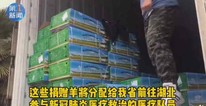 蒙古国捐赠羊肉到陕西 分配给援鄂医疗队员 网友：仿佛已闻到羊肉味