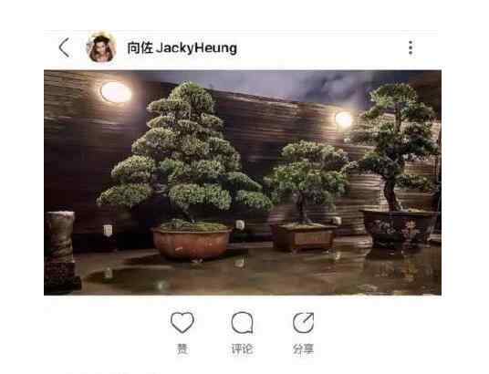 小腹胖与怀孕的区别图 郭碧婷疑成功怀孕:整个人胖了很多，小腹突出，孕味十足