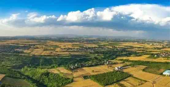 乡土栏目 每日一淘联合《乡土》栏目与腾讯新闻发起助农直播，共同推介秦川大地优质农产品