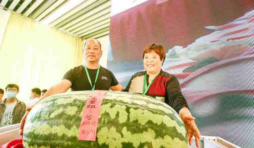 大兴西瓜节 172.6斤 北京大兴西瓜节瓜王诞生