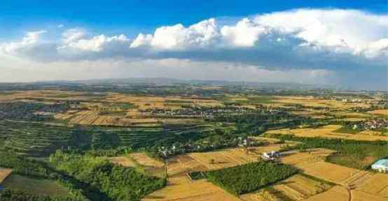 乡土栏目 每日一淘联合《乡土》栏目与腾讯新闻发起助农直播，共同推介秦川大地优质农产品