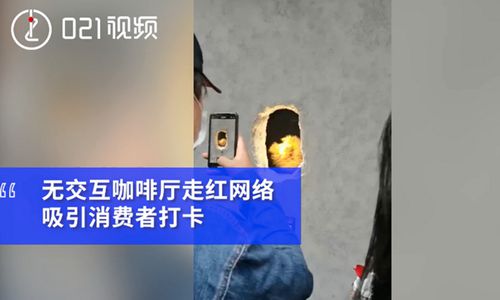 面部烧伤人士用熊爪递咖啡 上海一“治愈系”咖啡馆走红真相是什么？