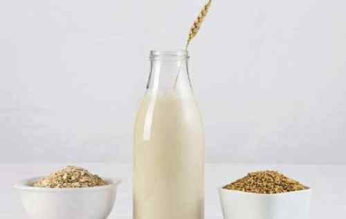 牛奶的营养价值 燕麦奶、牛奶、豆奶三大健康饮品营养价值的区别