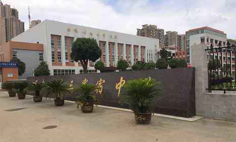 翠微中学 2019武汉汉阳区重点初中排名一览表