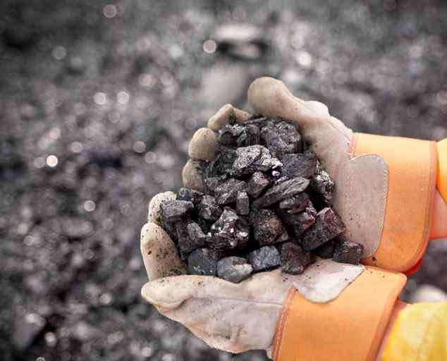 中植系 中植系-中植集团深化转型，其煤炭总储量已超过40亿吨