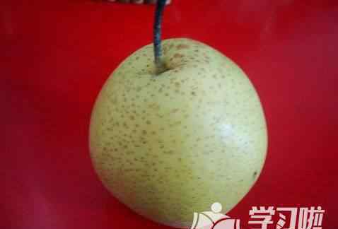 银耳雪梨汤怎么做粘稠 冰糖雪梨炖银耳制作过程图解