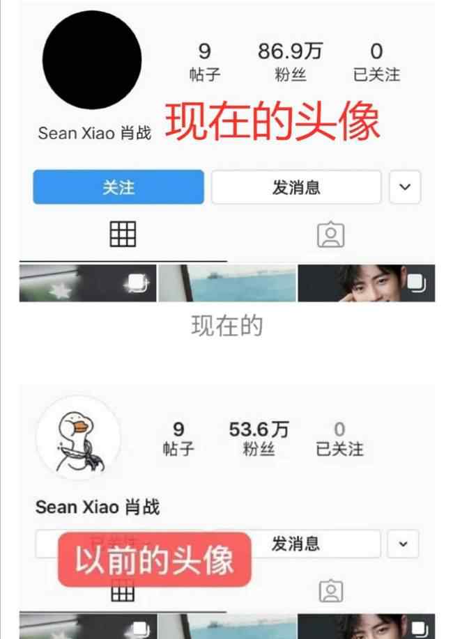 ins头像 肖战ins头像怎么回事?什么情况?终于真相了,原来是这样！