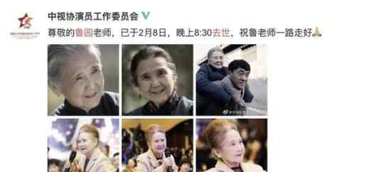 演员鲁园 演员鲁园去世 生平回顾演过什么作品 "奶奶专业户"离去