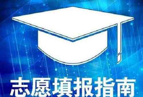 如何填报志愿 2020新高考志愿填报技巧