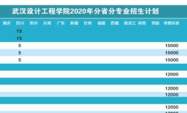 楚天学院 武汉设计工程学院2020年招生简章