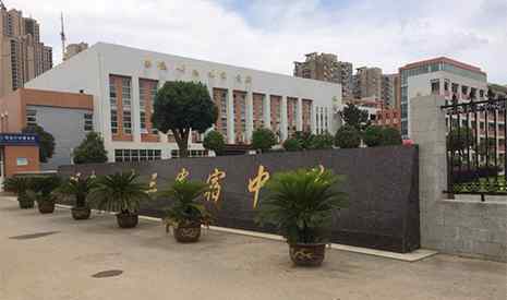 翠微中学 2019武汉汉阳区重点初中排名一览表