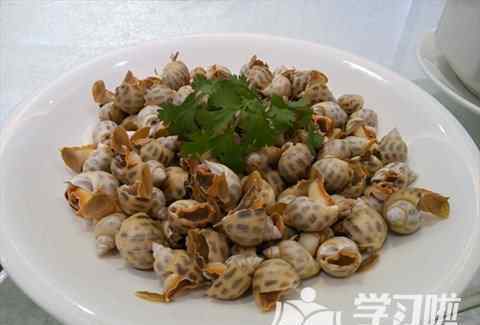 白灼花螺的做法 白灼花螺的制作过程图解