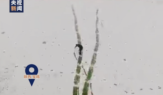 陕西小学美术老师雪地中扫出巨幅雪竹图 网友：这就是“胸有成竹“吧