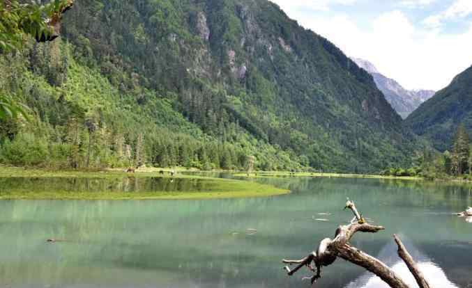 莲花海 成都周边的这个秘境，徒步爬山、泡野温泉，看风从秋天的草原上呼啸，落在碧绿的莲花海之上