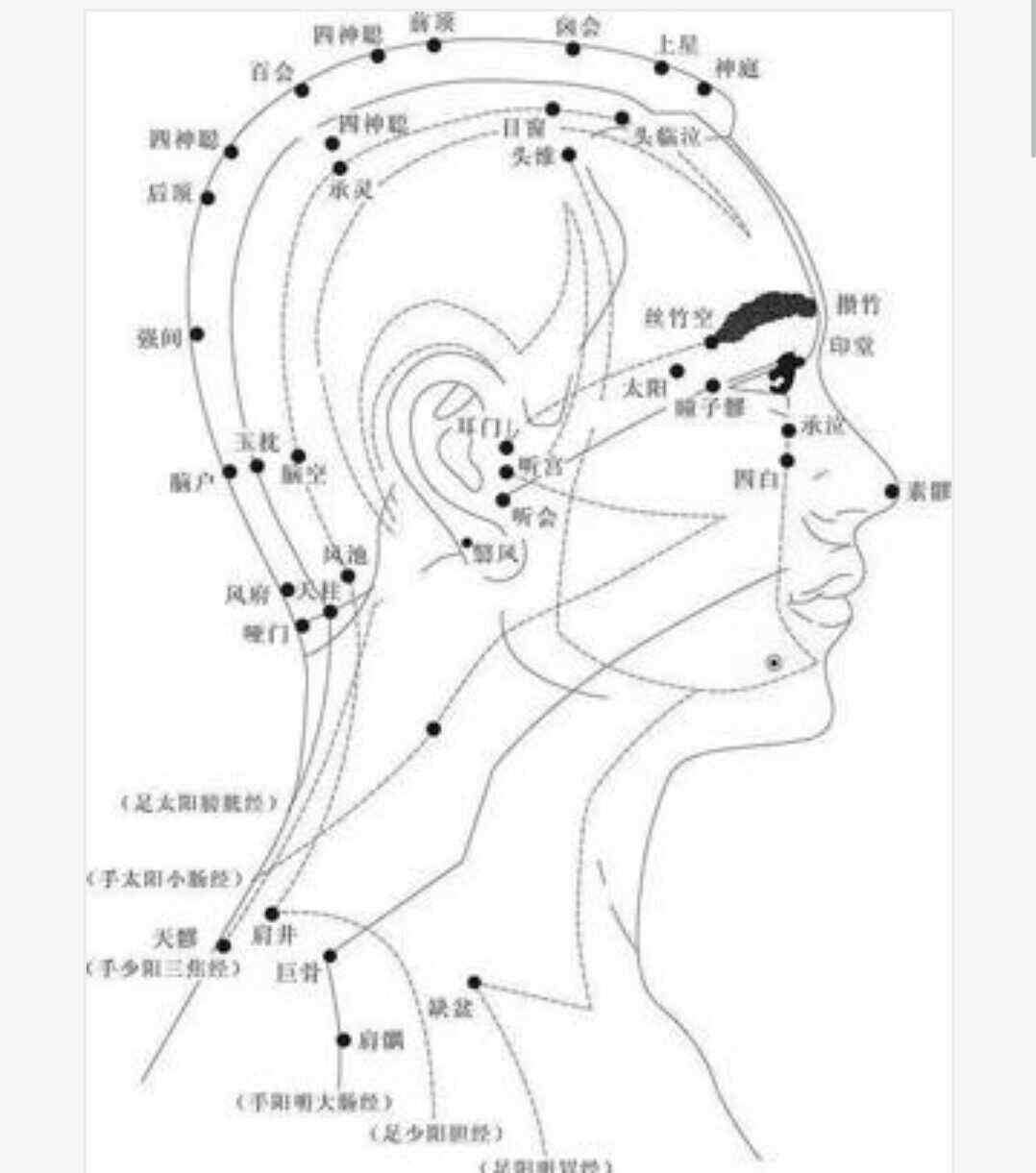 针灸穴位图 超清晰穴位图文，医院50个中医针灸常用穴位功效图！