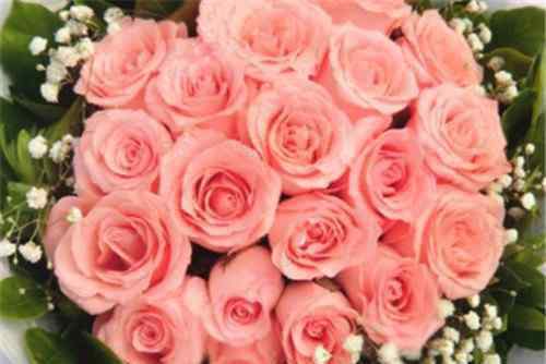 21朵玫瑰 21朵玫瑰花语是什么 不同年龄的人送21朵玫瑰花意义不同
